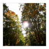ilana.21 Altpins Profile Picture