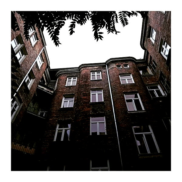 ilana.21 instagram image archive image