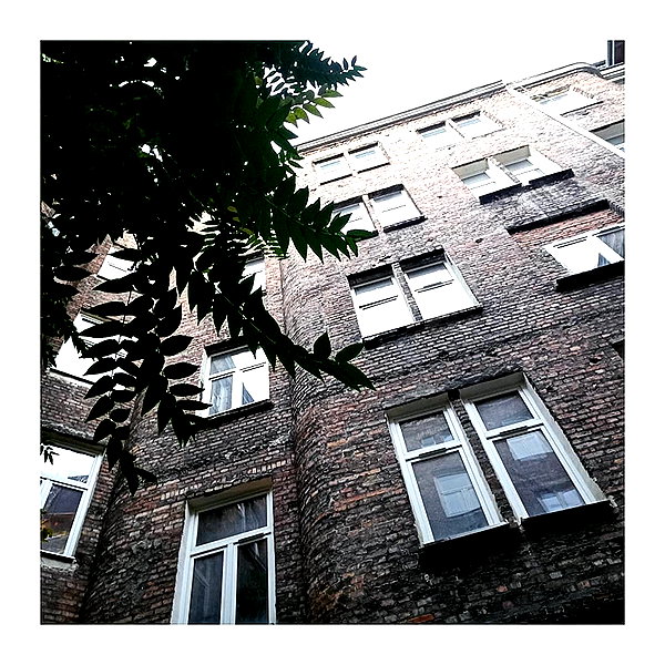 ilana.21 instagram image archive image