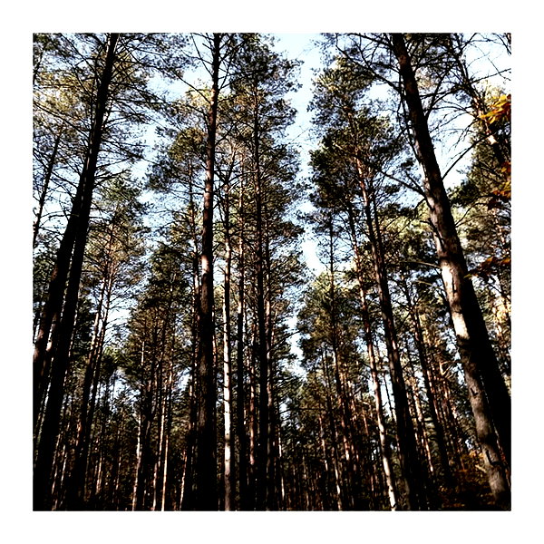 ilana.21 instagram image archive image