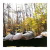 ilana.21 Altpins Profile Picture