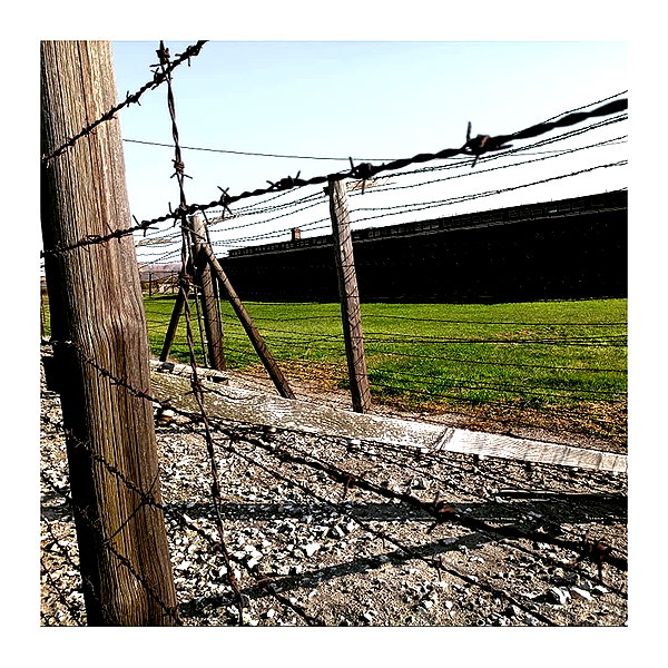 ilana.21 instagram image archive image