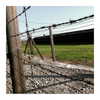 ilana.21 Altpins Profile Picture