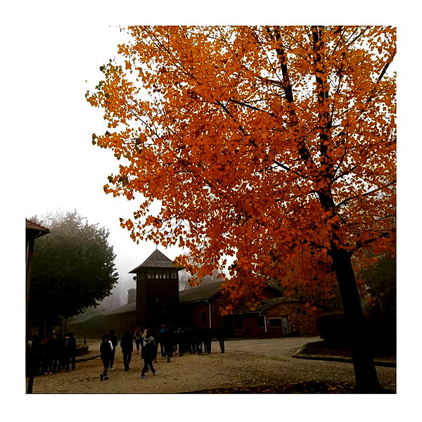 ilana.21 instagram image archive image