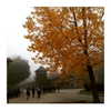 ilana.21 Altpins Profile Picture