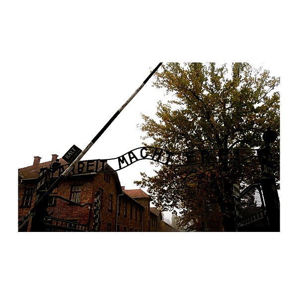 ilana.21 instagram image archive image