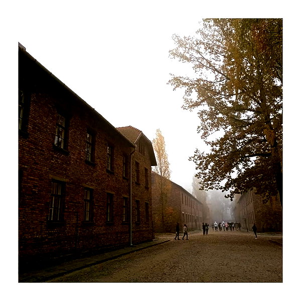 ilana.21 instagram image archive image