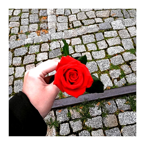 ilana.21 instagram image archive image