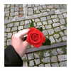 ilana.21 Altpins Profile Picture
