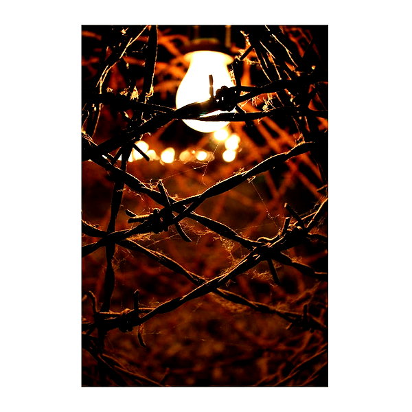 ilana.21 instagram image archive image