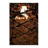 ilana.21 Altpins Profile Picture