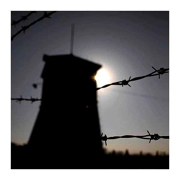 ilana.21 instagram image archive image