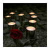 ilana.21 Altpins Profile Picture