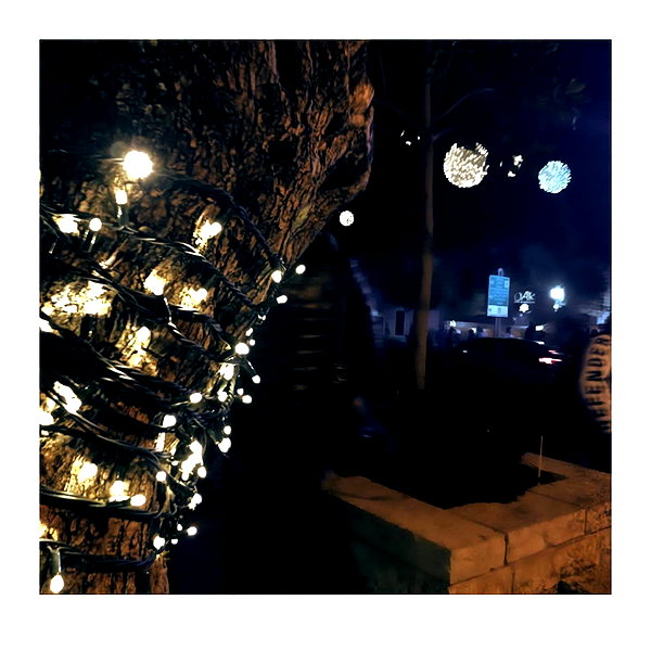 ilana.21 instagram image archive image
