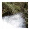 ilana.21 Altpins Profile Picture