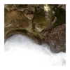 ilana.21 Altpins Profile Picture