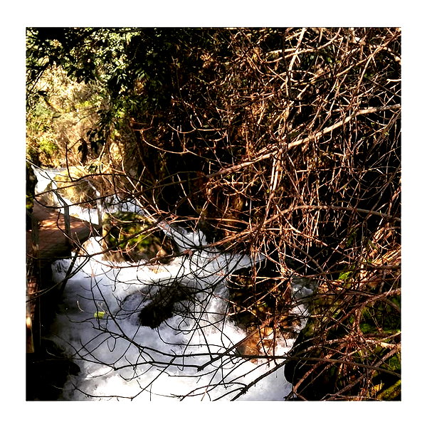 ilana.21 instagram image archive image