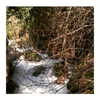 ilana.21 Altpins Profile Picture