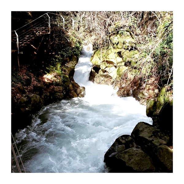 ilana.21 instagram image archive image