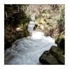 ilana.21 Altpins Profile Picture