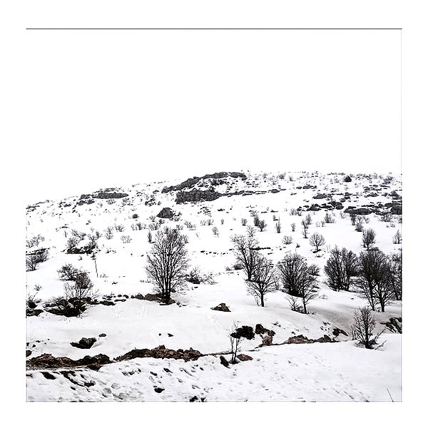 ilana.21 instagram image archive image