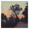 ilana.21 Altpins Profile Picture