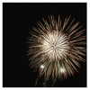 ilana.21 Altpins Profile Picture