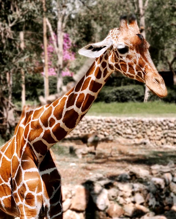ilana.21 instagram image archive image