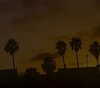 ilana.21 Altpins Profile Picture