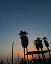 ilana.21 Altpins Profile Picture