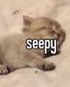 iljfgigi Altpins Profile Picture