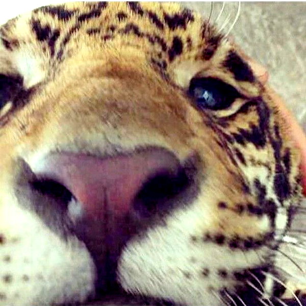 iljfgigi instagram image archive image