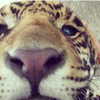 iljfgigi Altpins Profile Picture