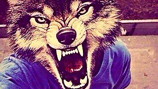 iljfgigi instagram image archive image