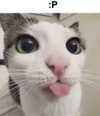 iljfgigi Altpins Profile Picture