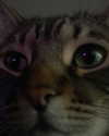 iljfgigi Altpins Profile Picture