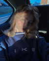 im_katesi Altpins Profile Picture