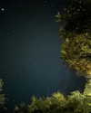 im_katesi Altpins Profile Picture
