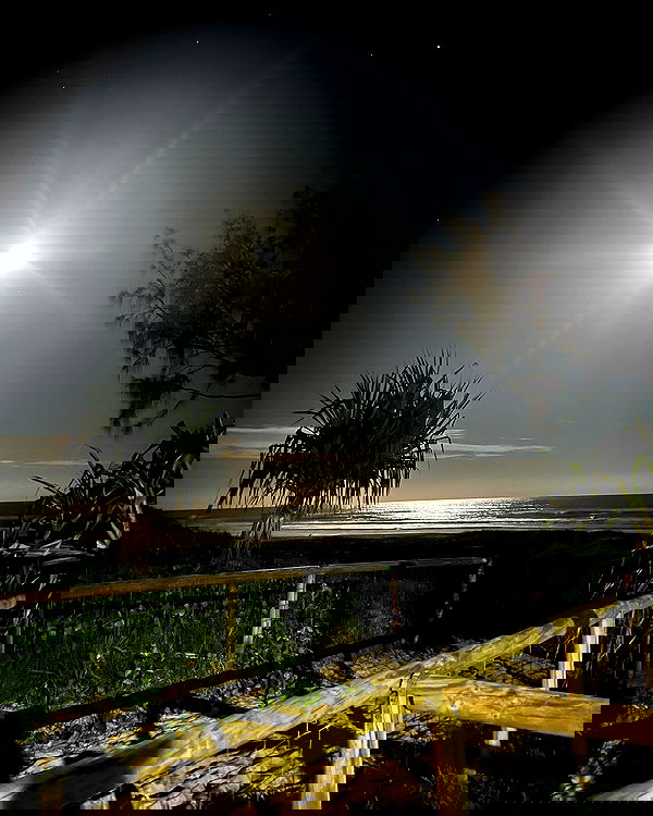 imogenbrookeee image ~ Altpins