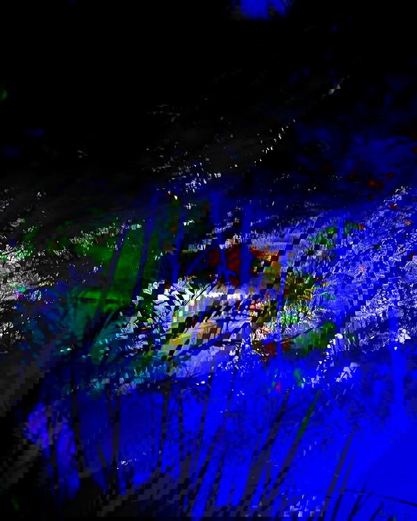 imogenbrookeee image ~ Altpins