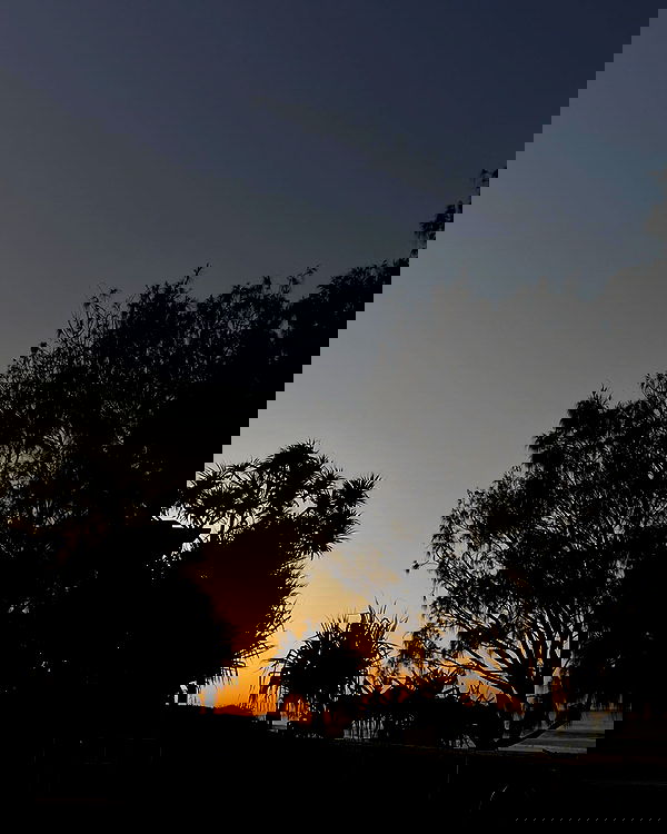 imogenbrookeee image ~ Altpins