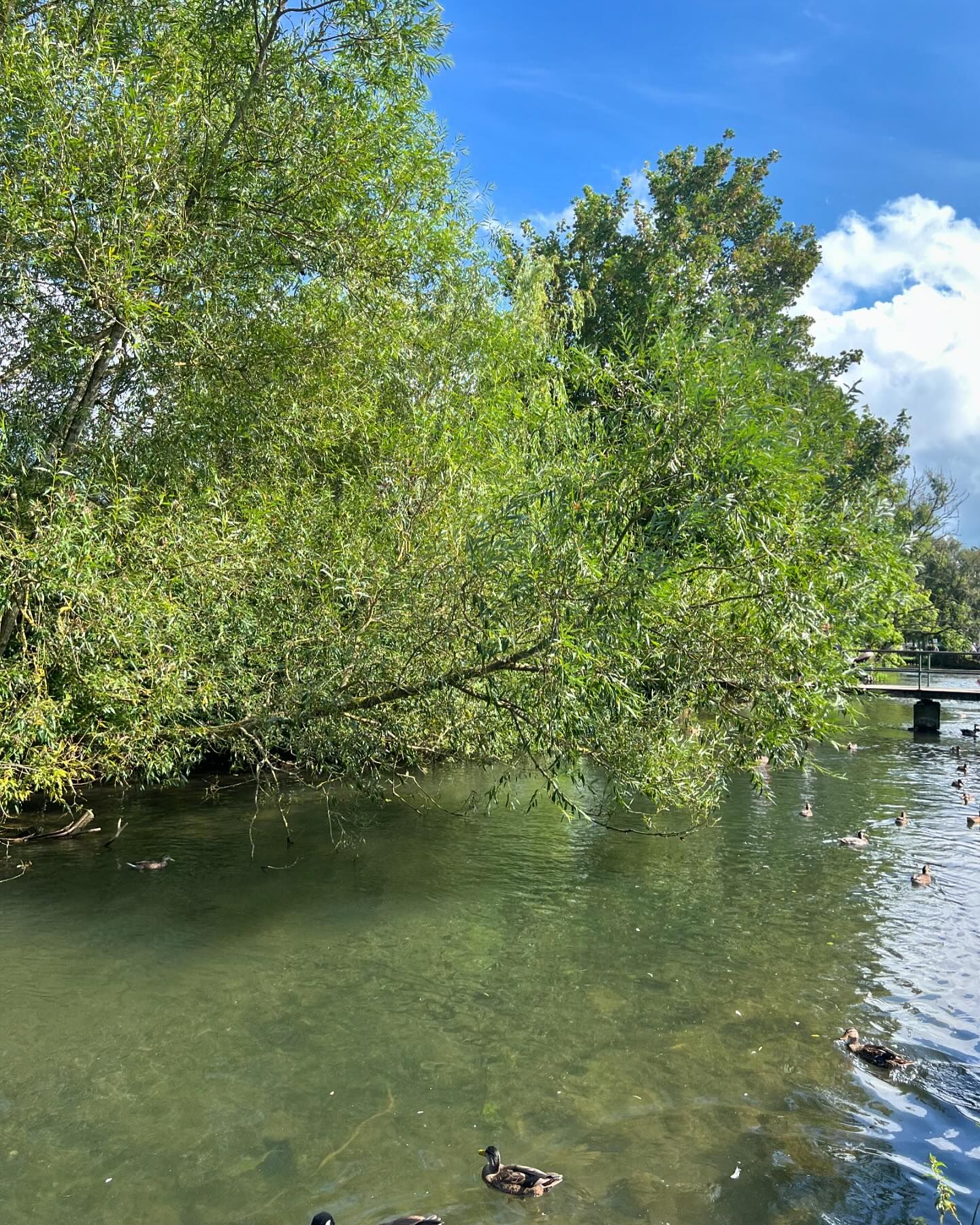 imogenbrookeee instagram image archive image