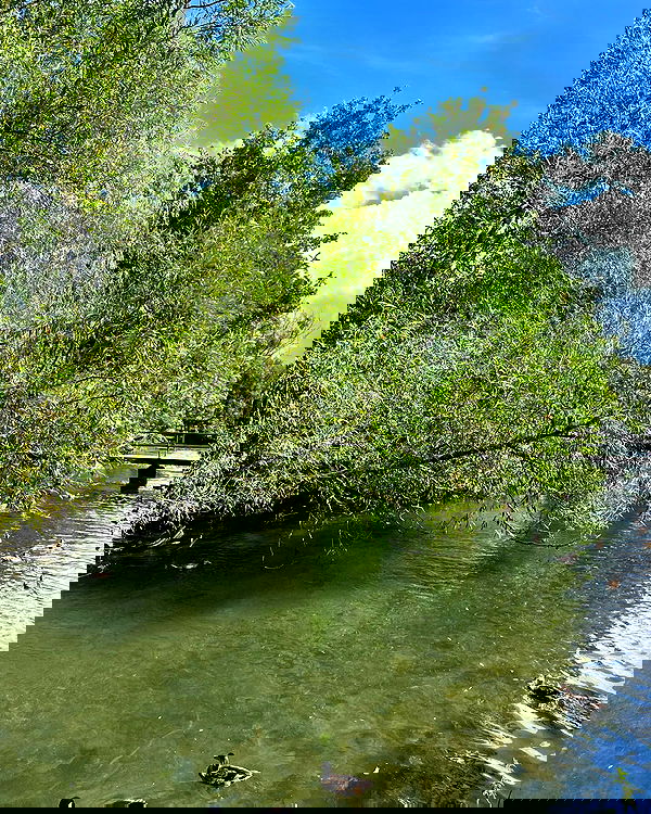 imogenbrookeee image ~ Altpins