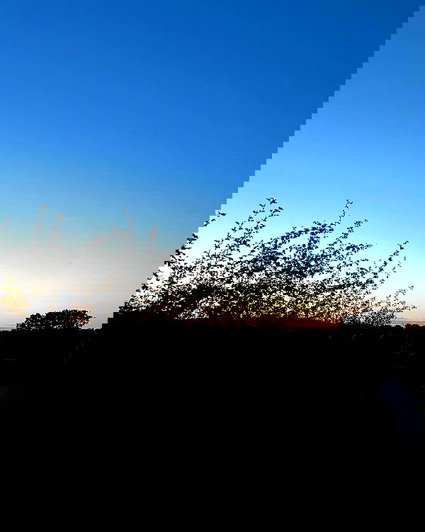 imogenbrookeee image ~ Altpins