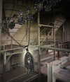 indeemarg Altpins Profile Picture