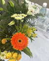 indiana.jane1 Altpins Profile Picture