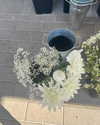 indiana.jane1 Altpins Profile Picture