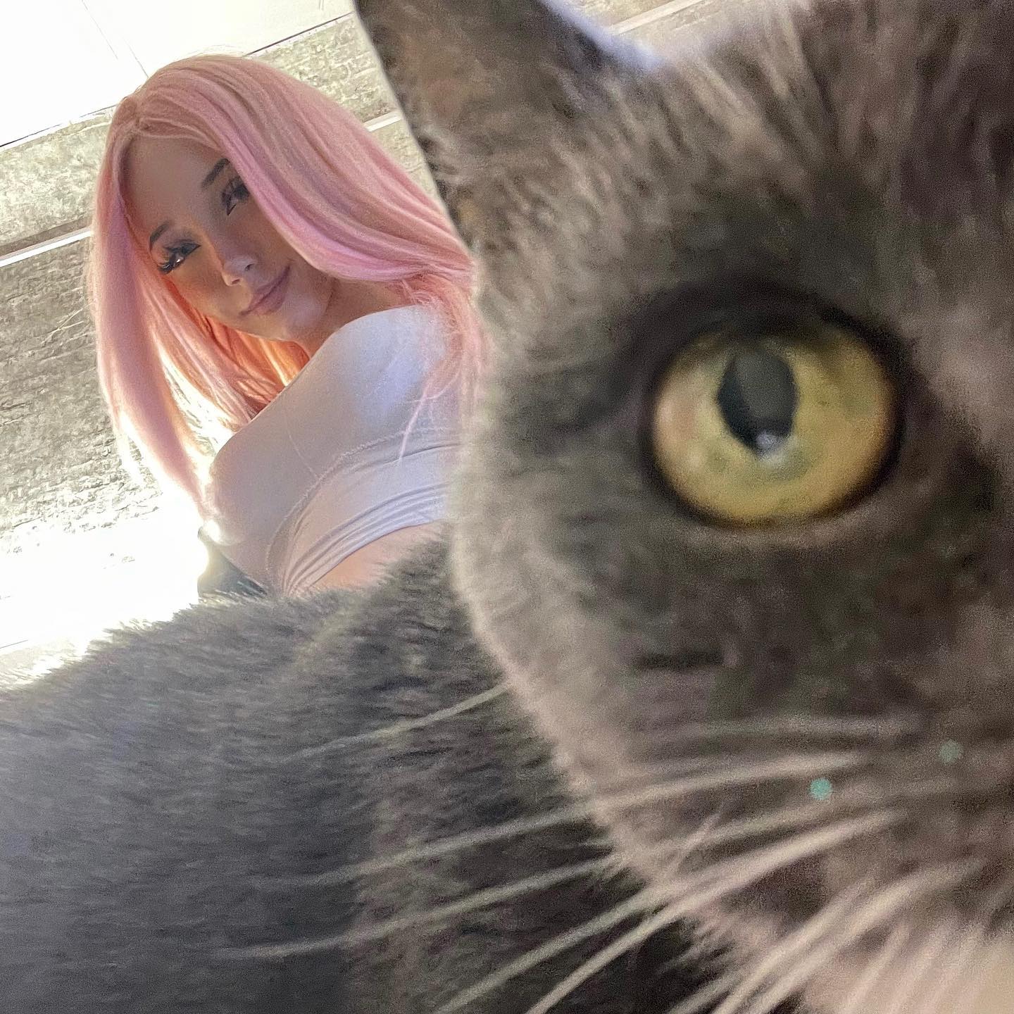 ira_dash_ instagram image archive image