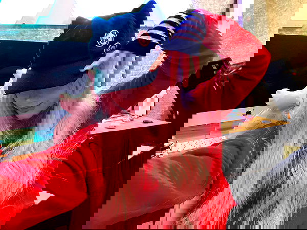 ira_dash_ image ~ Altpins