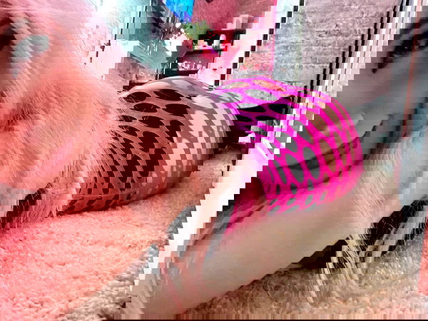 ira_dash_ image ~ Altpins